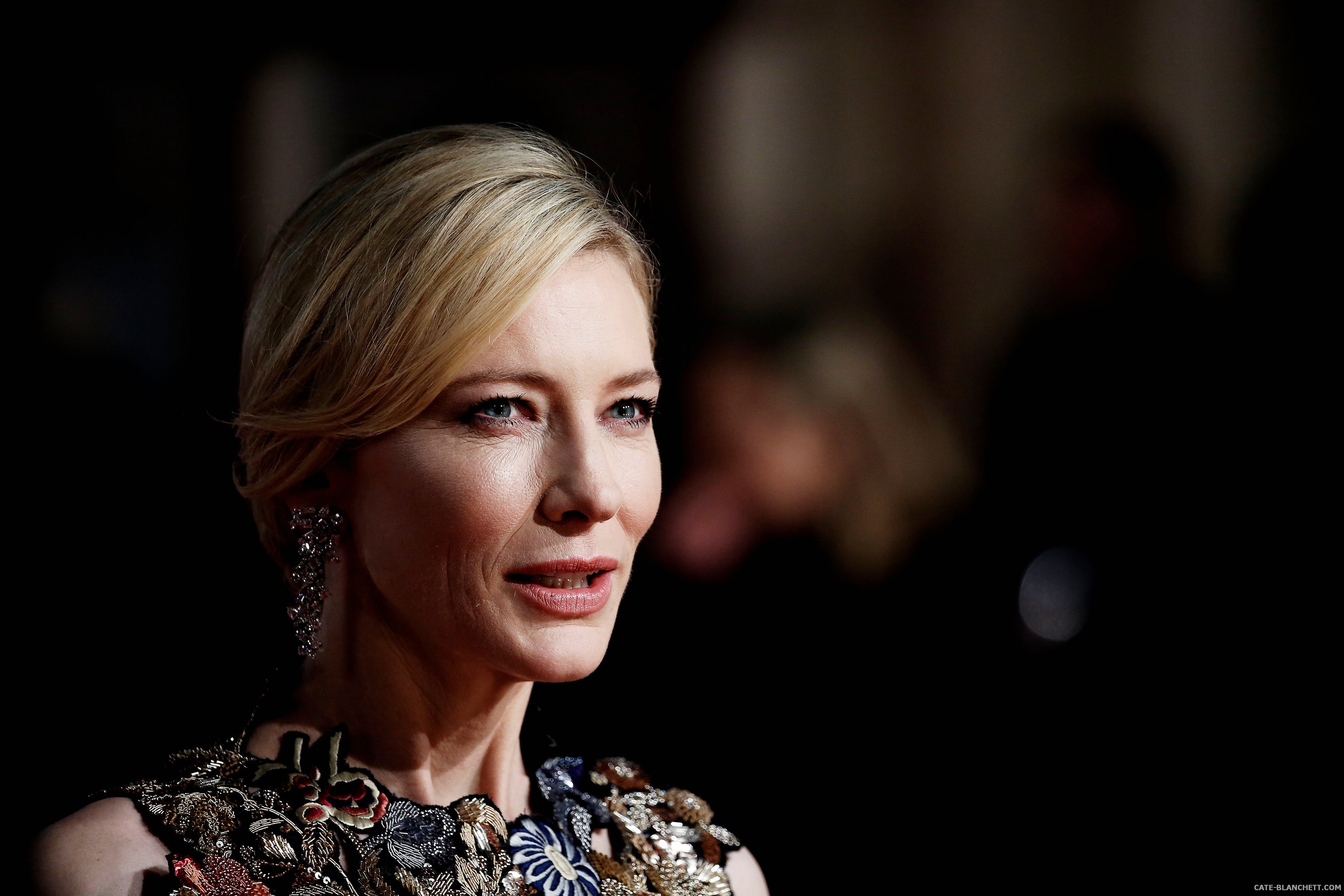 Кейт бланшетт. Cate Blanchett. Кейт Бланше́тт. Кейт Бланшетт фото. Кейт Бланшетт в 25.