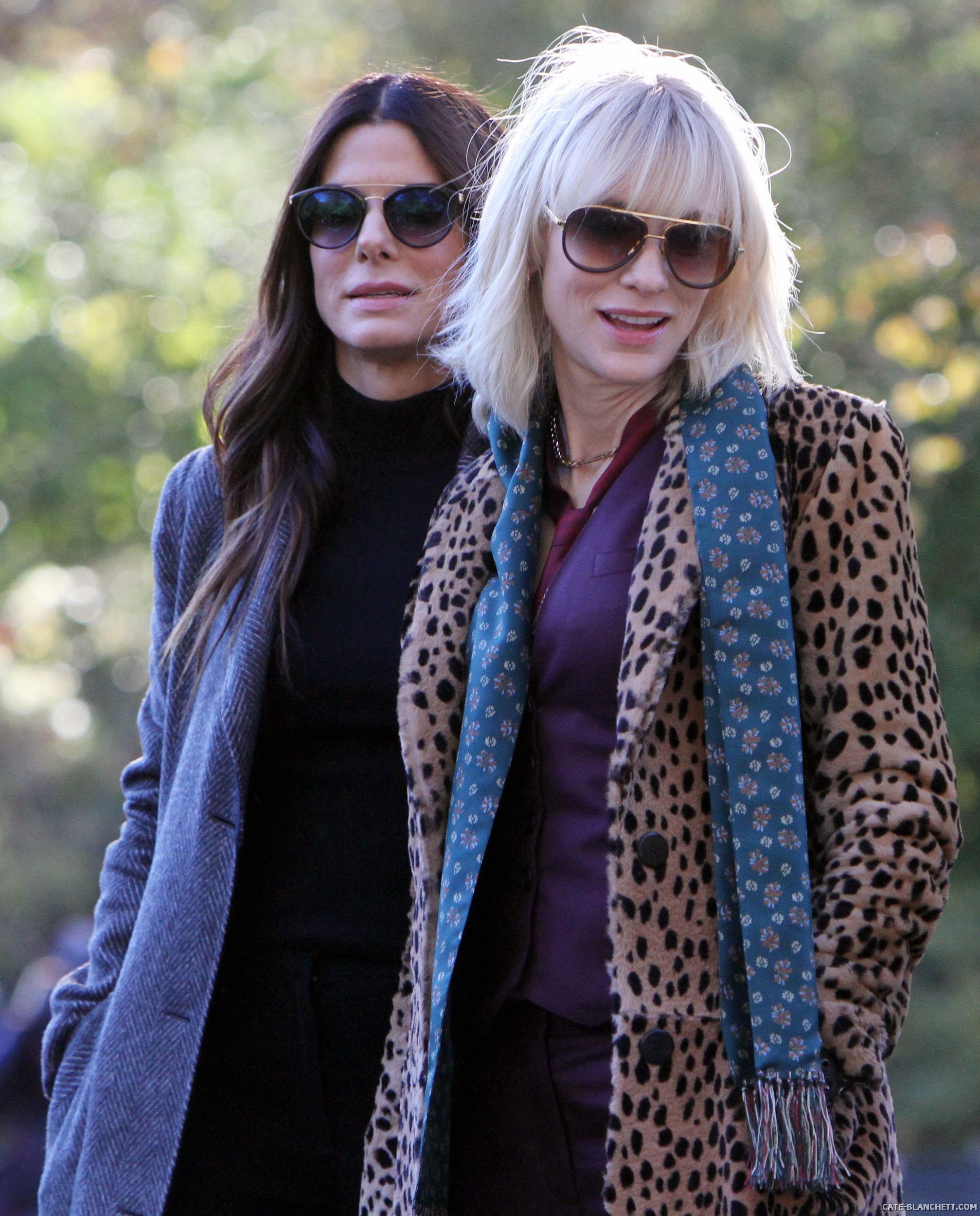 oceans8-ny-nov07-2016-0335.JPG